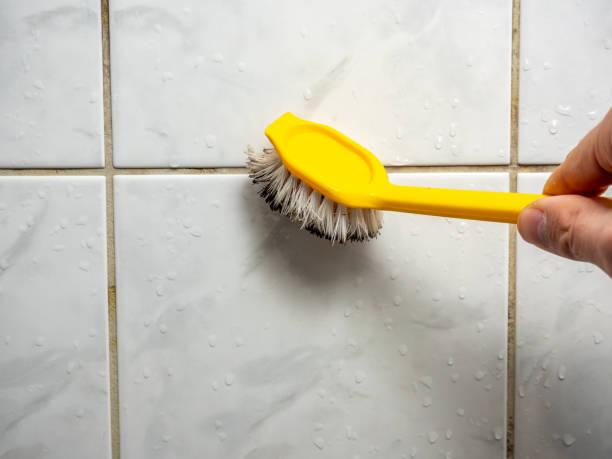 Best Mold Damage Repair  in Crystal, MN