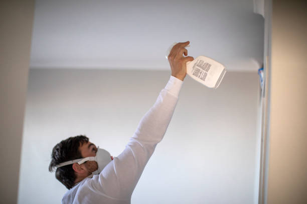 Best Local Mold Removal Service  in Crystal, MN