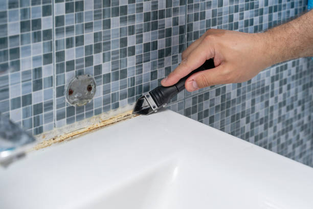 Best Black Mold Removal  in Crystal, MN