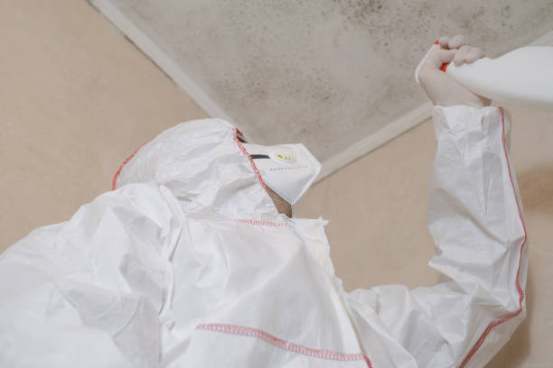 Best Mold Testing  in Crystal, MN